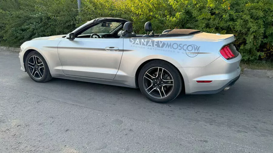 Ford Mustang (серый)