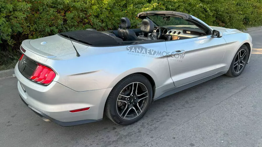 Ford Mustang (серый)